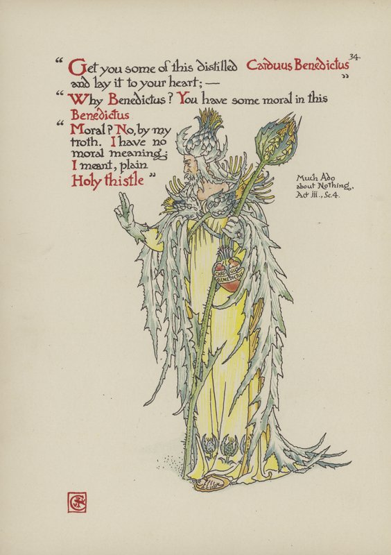 Fiori dal giardino di Shakespeare da Walter Crane
