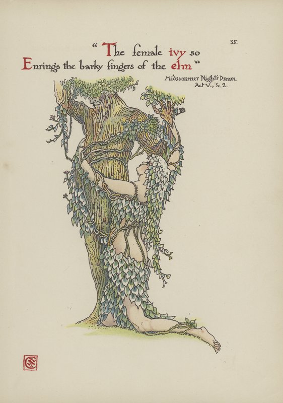 Fiori dal giardino di Shakespeare da Walter Crane