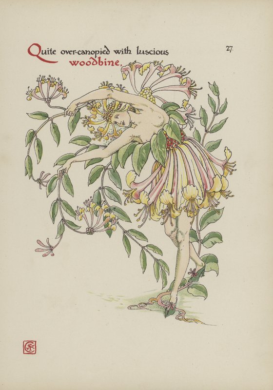 Fiori dal giardino di Shakespeare da Walter Crane