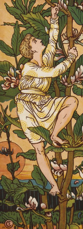 Jack e il fagiolo magico (litografia a colori) da Walter Crane