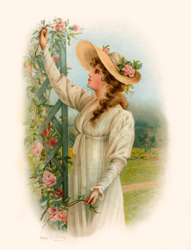 La Maud di Tennyson da Warry