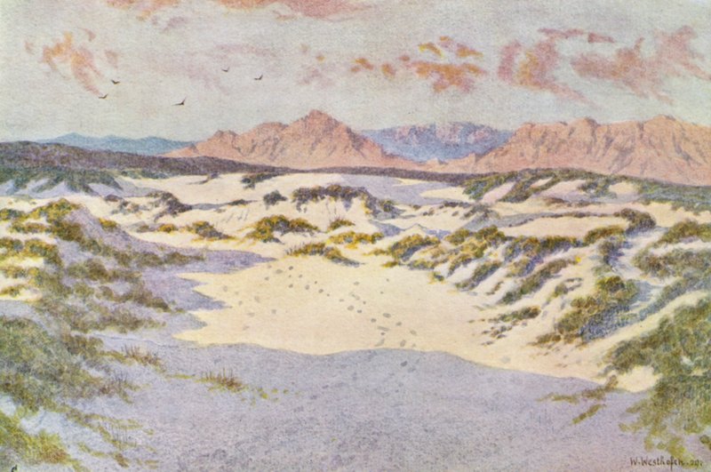 Sulle dune vicino a Muizenberg da Wilhelm Westhofen