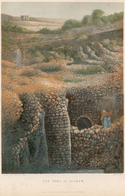 La piscina di Siloe da William Dickes