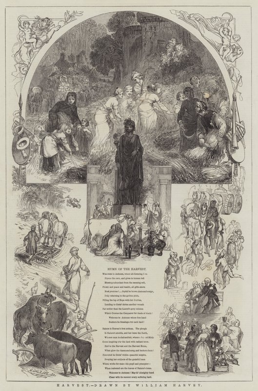 Raccolto da William Harvey