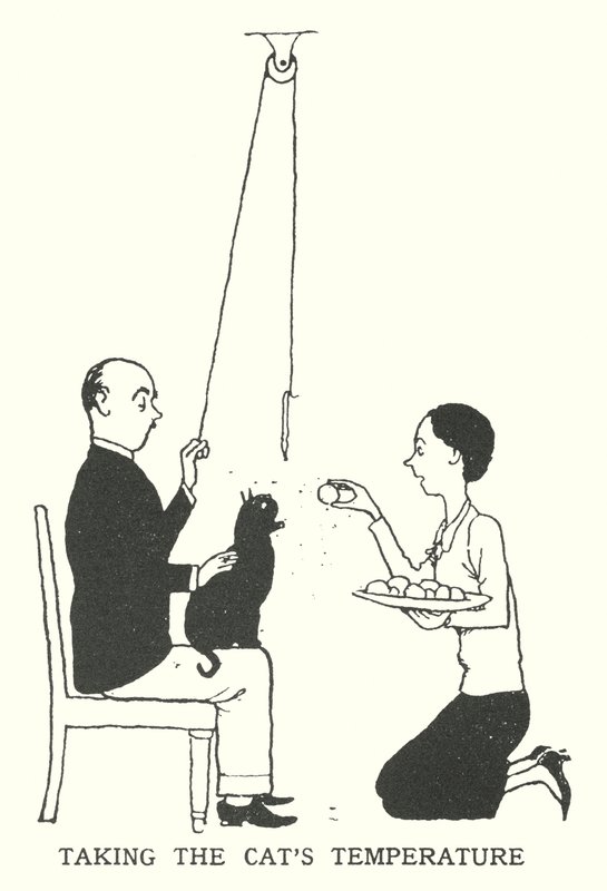 Misurare la temperatura del gatto (litografia) da William Heath Robinson