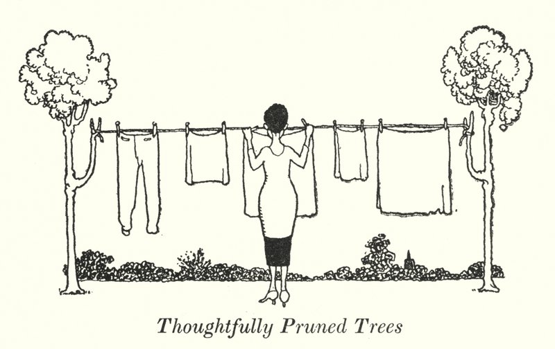 Alberi Potati con Cura da William Heath Robinson