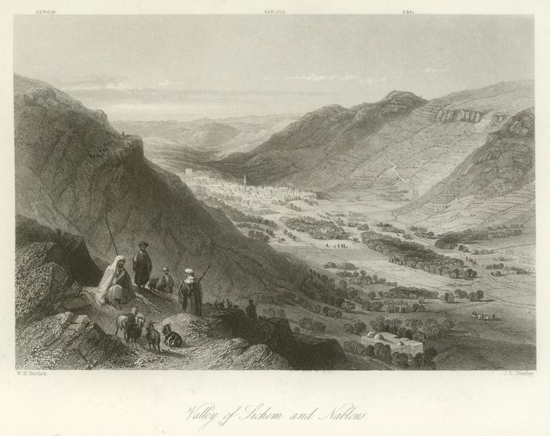 Valle di Sichem e Nablus, Palestina da William Henry Bartlett