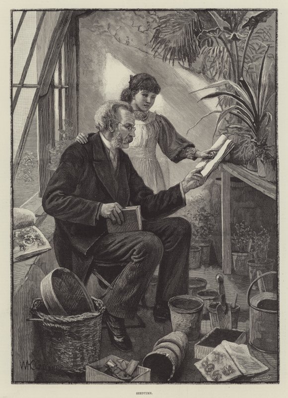 Semina da William Henry Charles Groome