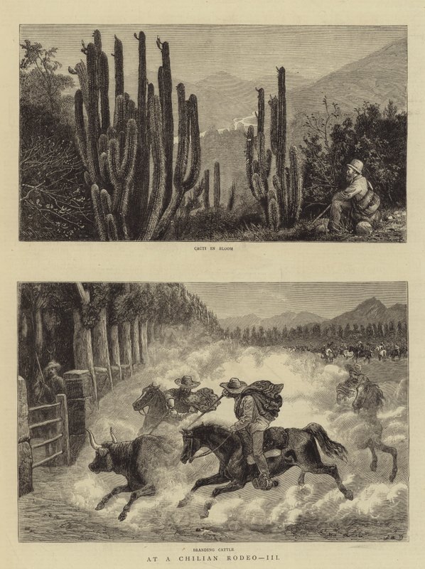 A un rodeo cileno, III da William Henry James Boot