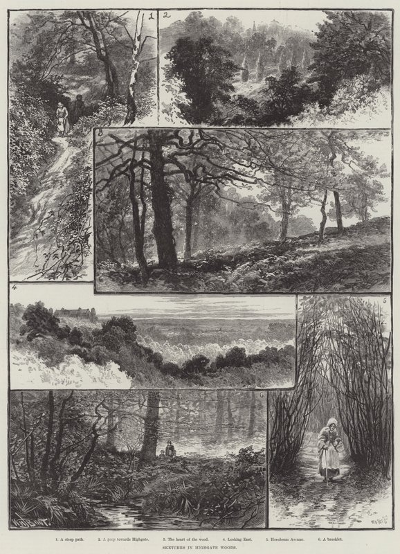 Schizzi nei boschi di Highgate da William Henry James Boot