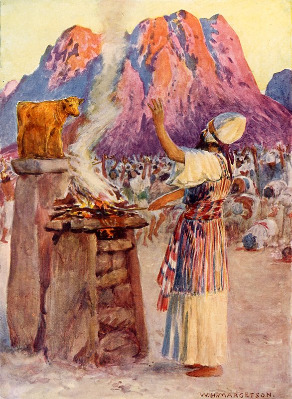 Il vitello d