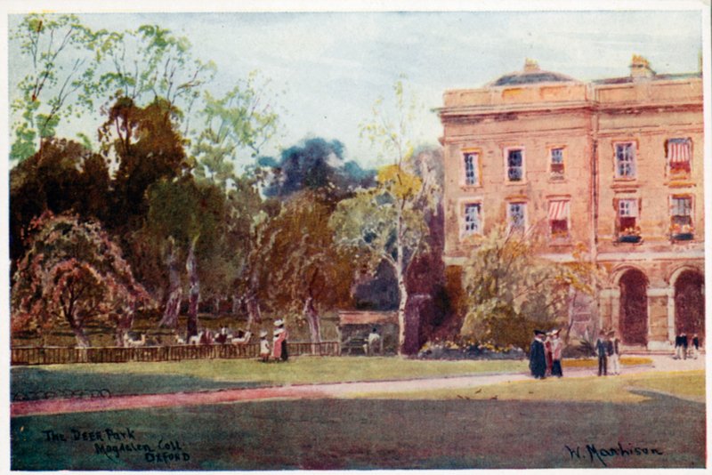 Il parco dei cervi, Magdalen College, Nuovi Edifici da William Matthison