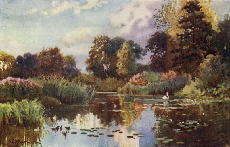 Il lago nei giardini botanici da William Matthison