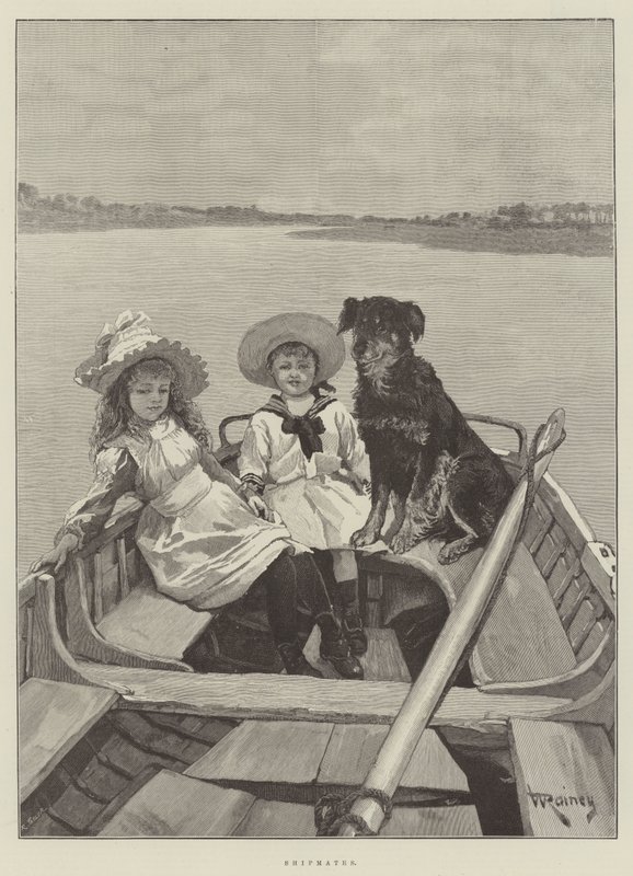 Compagni di nave da William Rainey