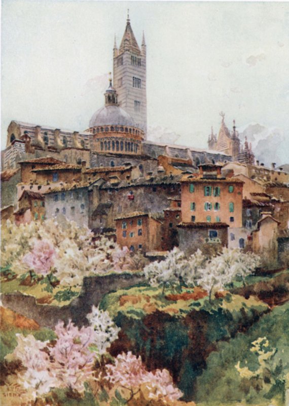 Siena, la cattedrale da William Wiehe Collins