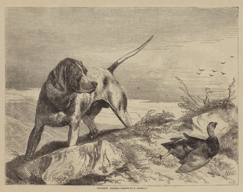 Galloferito da after Richard Ansdell