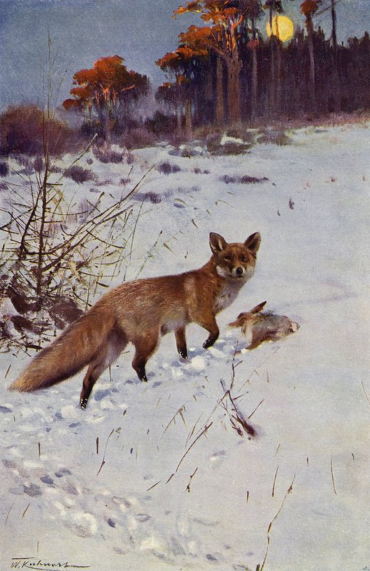 Volpe da after Wilhelm Kuhnert